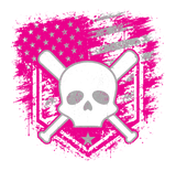 Regulators 2027 pink distressed flag artwork