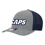 Wilmington Whitecaps -  R110 R-Flex Cap